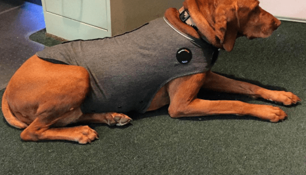 pressureWraps