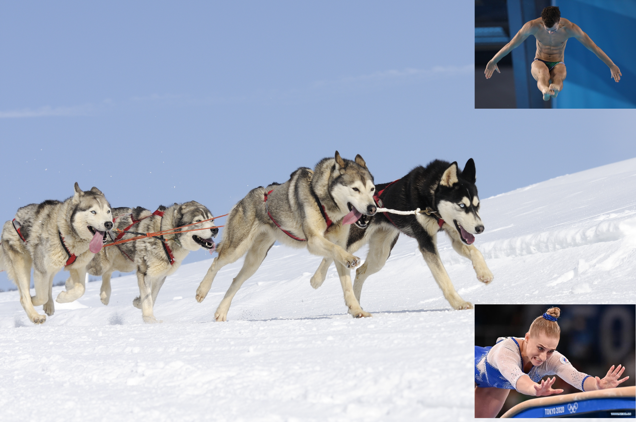 huskyOlympics